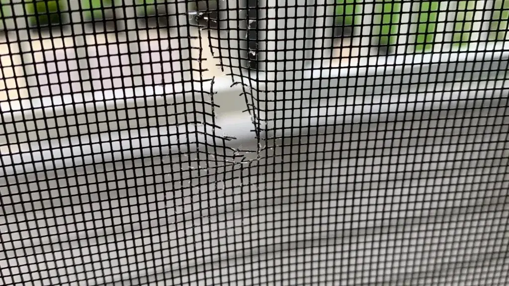 Our Screen Door Process